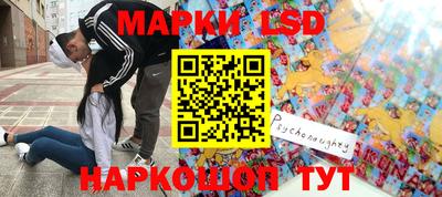 spice Краснодар