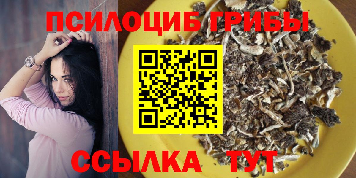 Псилоцибиновые грибы Magic Shrooms  Псилоцибиновые грибы GOLDEN TEACHER  Вход с VPN  Краснознаменск 