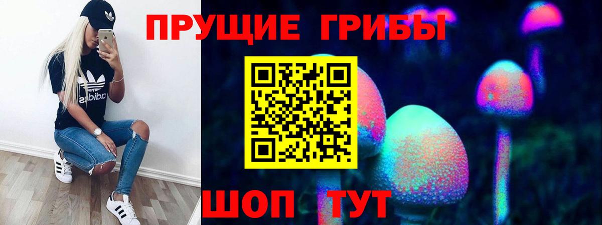 Псилоцибиновые грибы Psilocybine cubensis Краснознаменск