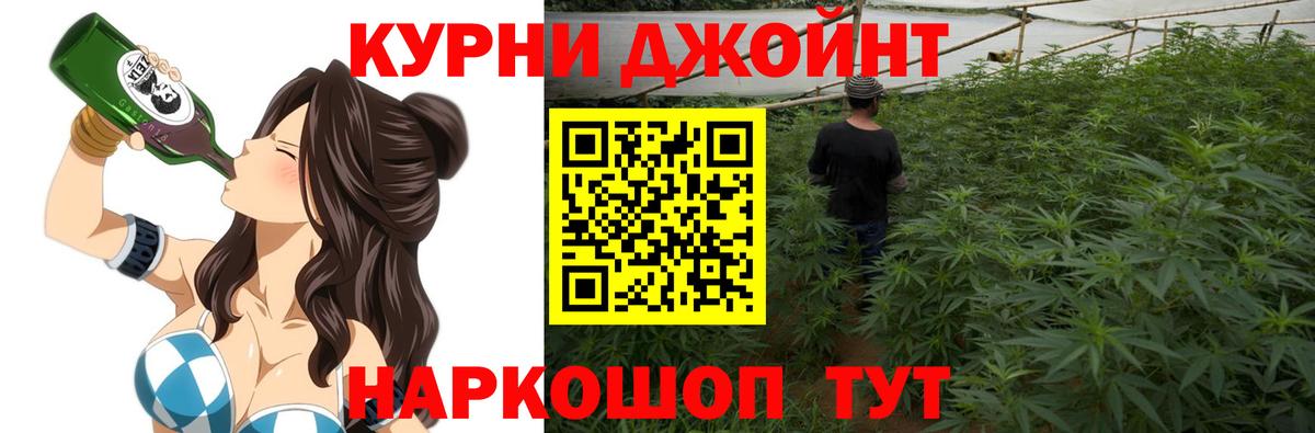 МАРИХУАНА конопля Краснознаменск